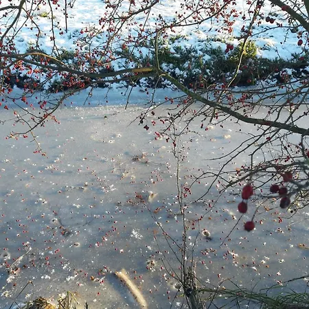 Apartment Achterdeck